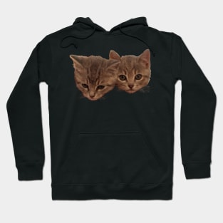 Baby Baxter and Jelly Bean - Cute Kittens Hoodie